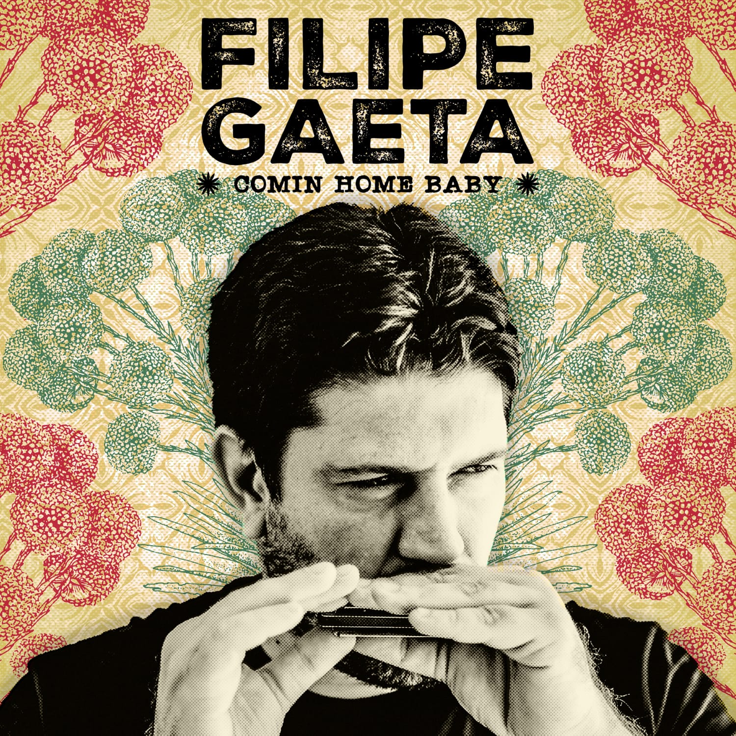 FilipeGaeta-CominHomeBaby.jpeg